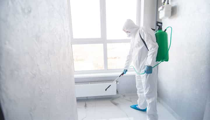 florida mold inspection